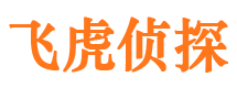 疏勒市侦探调查公司